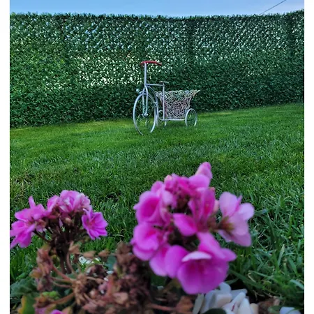 My Dream 3* Bozcaada