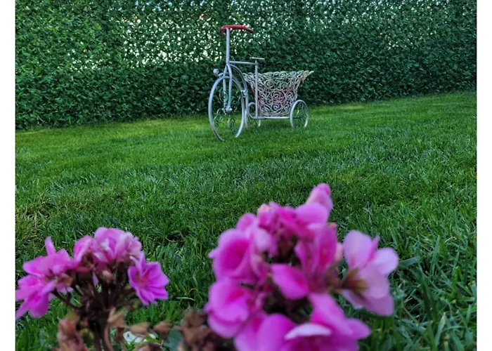 My Dream 3* Bozcaada